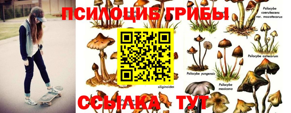 Галлюциногенные грибы GOLDEN TEACHER Геленджик